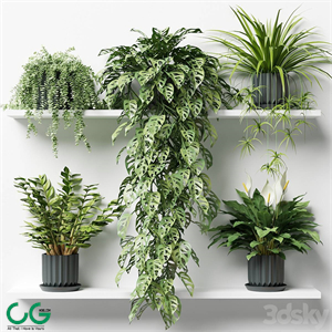 Plants on a shelf in ribbed pots